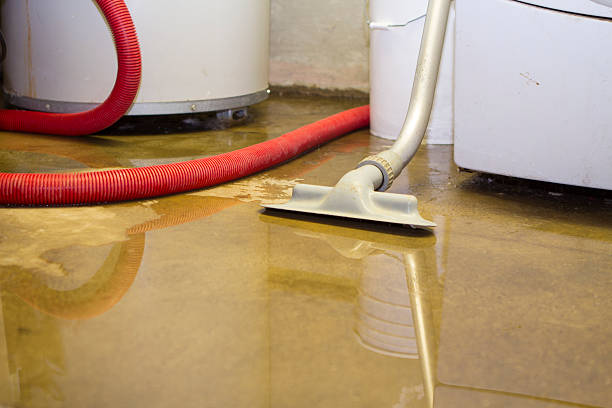 Best Residential water damage restoration  in Wading River, NY