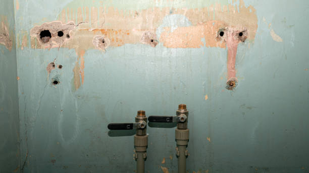 Best Mold removal after water damage  in Wading River, NY